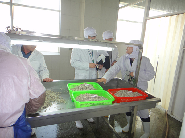 生產(chǎn)車間-004.JPG