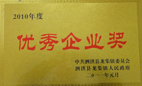 優(yōu)秀企業(yè)獎3.JPG